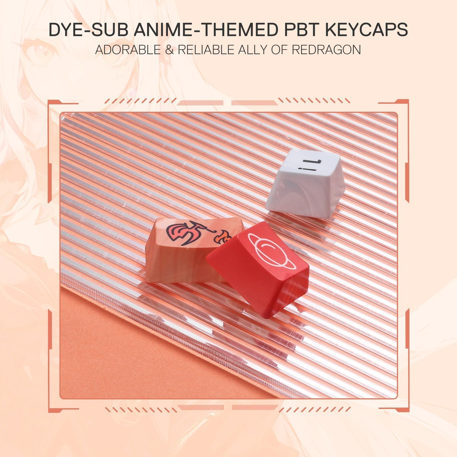 81YNqoCQ3YL.jpg